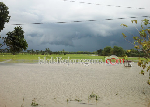 Usai Tebar Benih, 45 Hektare Sawah di Dander Terendam Banjir